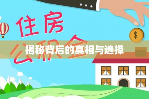 林内揭秘背后的真相与选择