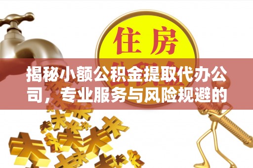 林内揭秘小额公积金提取代办公司，专业服务与风险规避的平衡艺术
