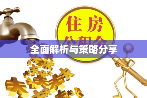 林内全面解析与策略分享