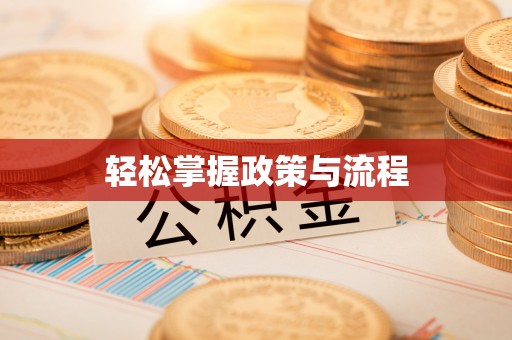 林内轻松掌握政策与流程
