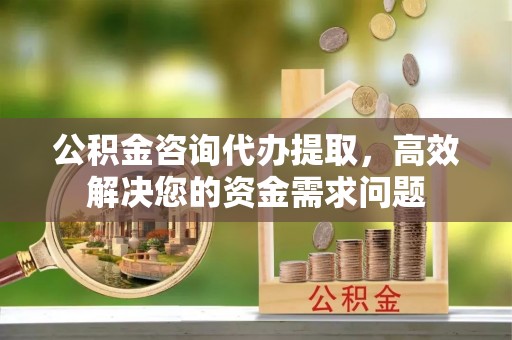 林内公积金咨询代办提取，高效解决您的资金需求问题