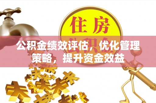林内公积金绩效评估，优化管理策略，提升资金效益