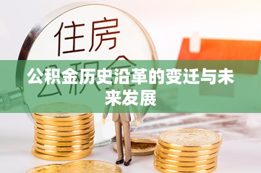 林内公积金历史沿革的变迁与未来发展