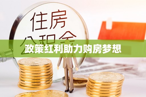 林内政策红利助力购房梦想