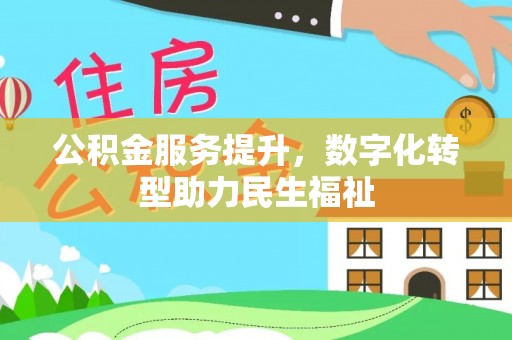 林内公积金服务提升，数字化转型助力民生福祉