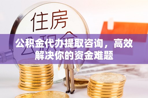 林内公积金代办提取咨询，高效解决你的资金难题