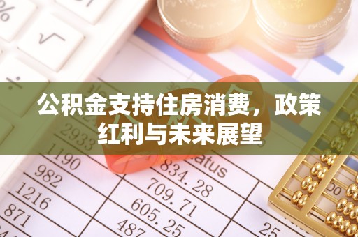 林内公积金支持住房消费，政策红利与未来展望