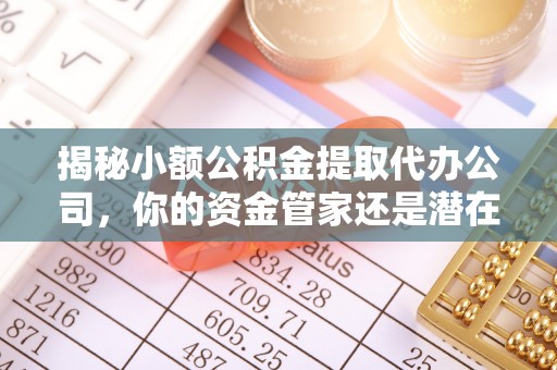 林内揭秘小额公积金提取代办公司，你的资金管家还是潜在陷阱？
