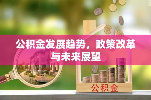林内公积金发展趋势，政策改革与未来展望
