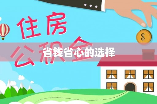 林内省钱省心的选择