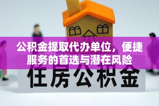 林内公积金提取代办单位，便捷服务的首选与潜在风险