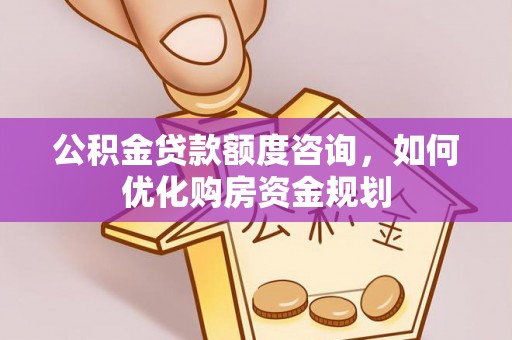 林内公积金贷款额度咨询，如何优化购房资金规划